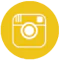 Instagram Icon